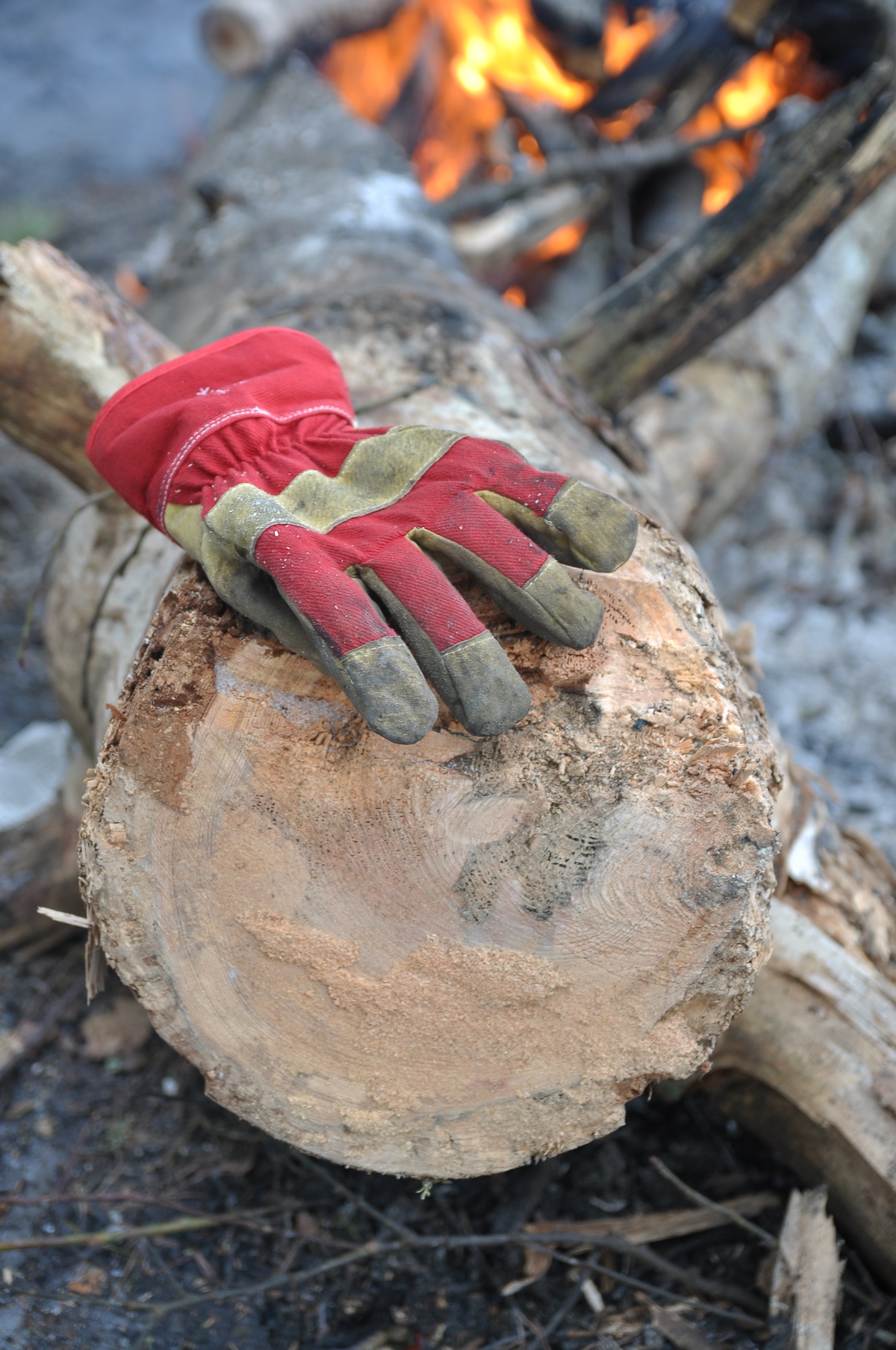  Piknik in Paldiski. RMK Paldiski, Lõkkekoht Paldiski.