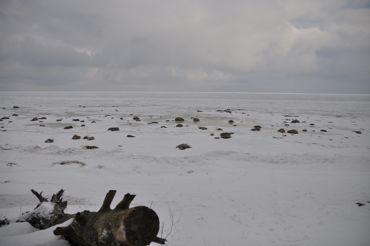 Winter nature.  Piknik in Paldiski. RMK Paldiski, Lõkkekoht Paldiski.