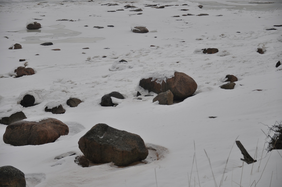 Winter nature.  Piknik in Paldiski. RMK Paldiski, Lõkkekoht Paldiski.
