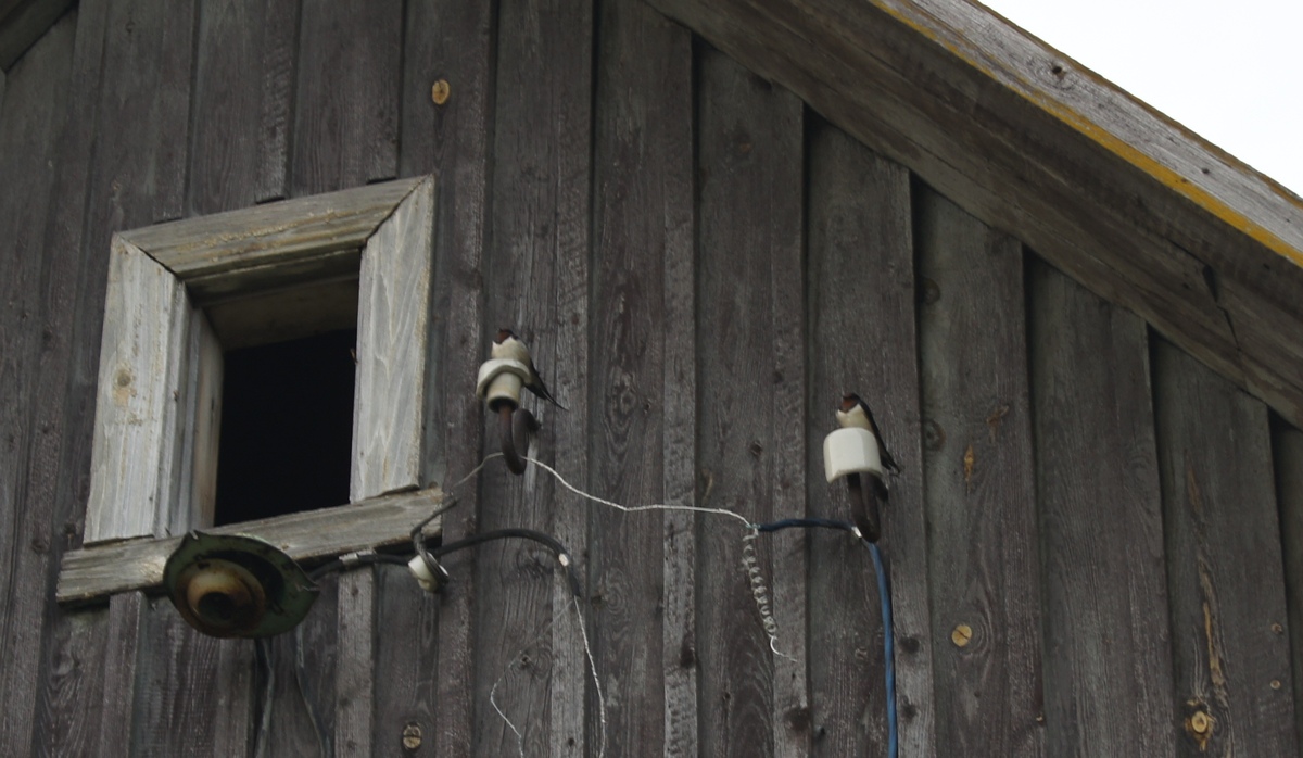  Glock knife crash test.