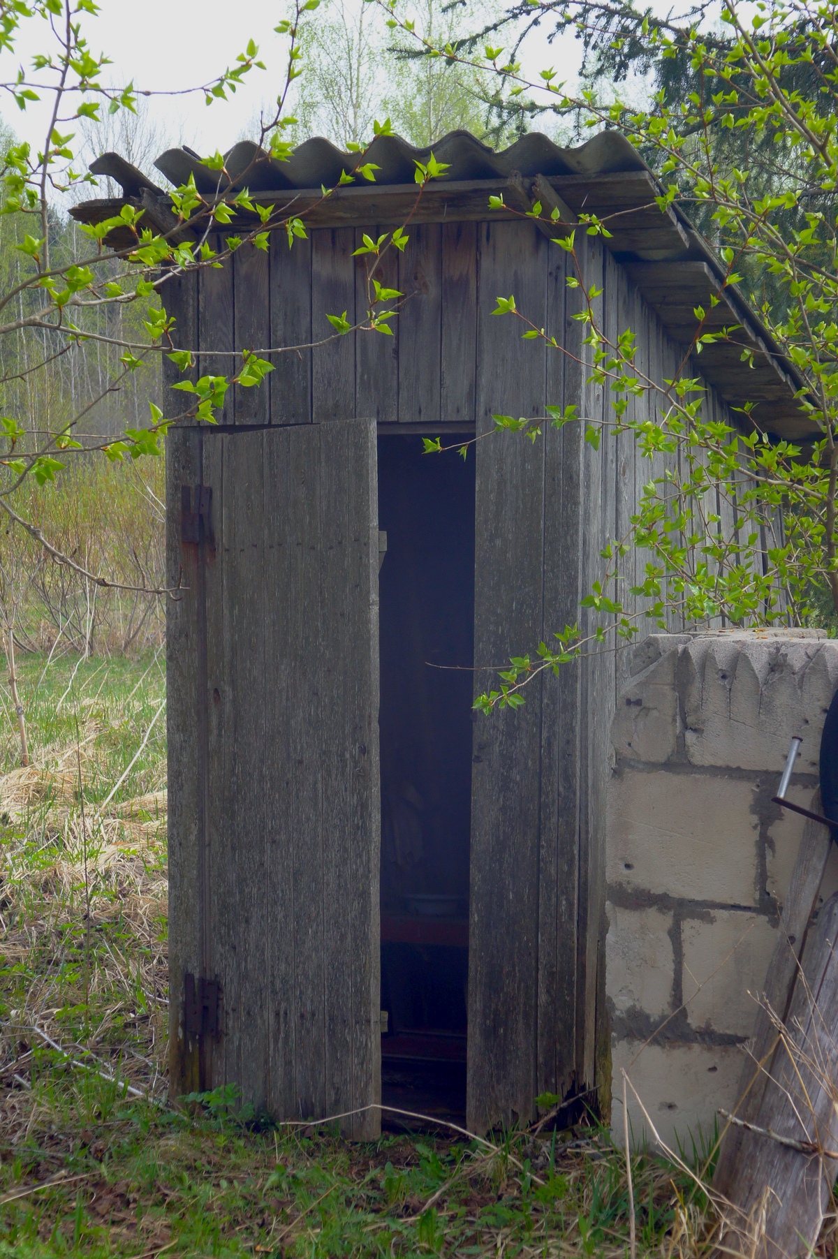  Туалет типа 'сортир'. 