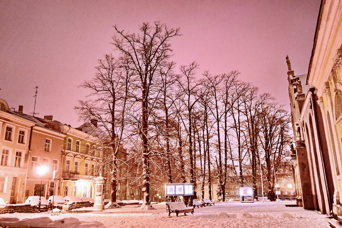  Фотографии от pixelzz. 