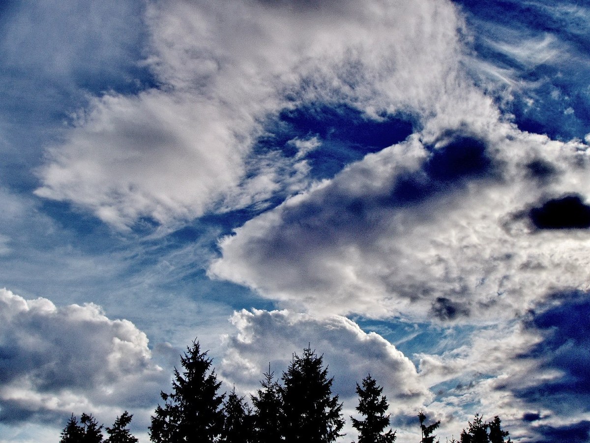  Фотографии от pixelzz. 