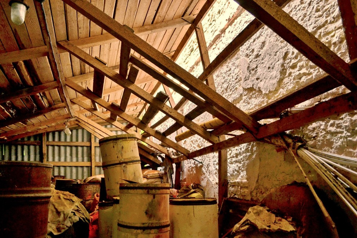  Фотографии от pixelzz. 