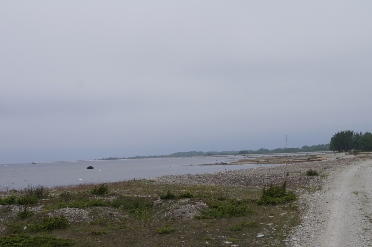 Midsummer day in Osmussaar island.