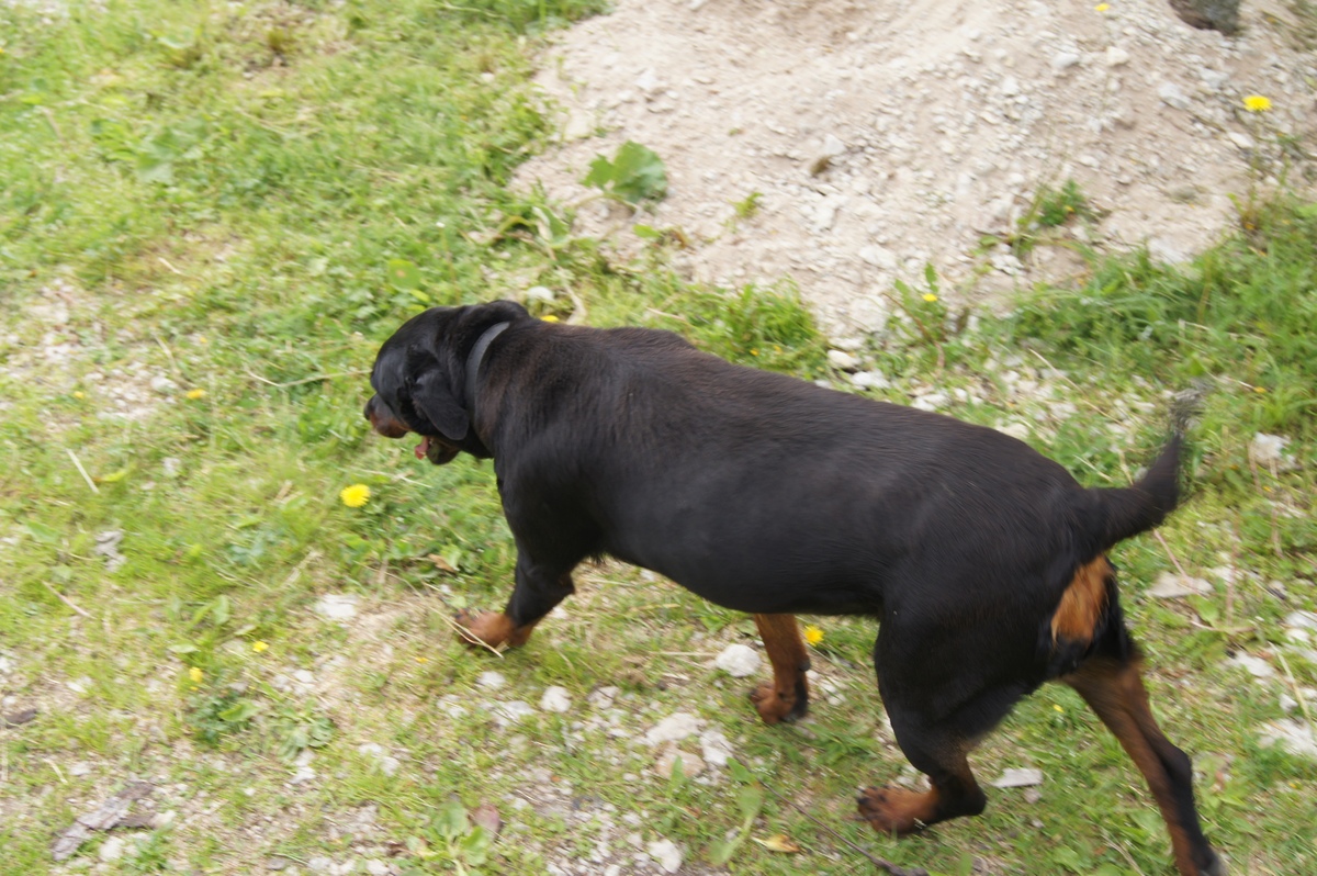  Midsummer day in Osmussaar island.