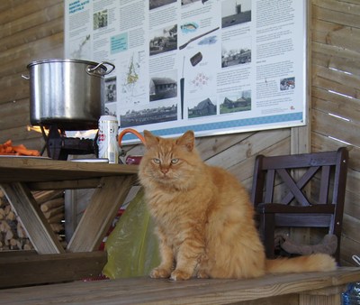Midsummer day in Osmussaar island