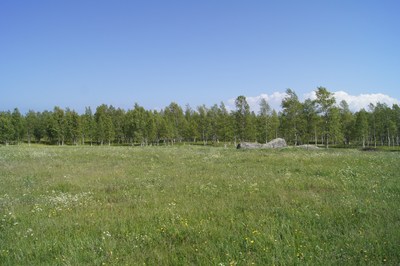 Midsummer day in Osmussaar island