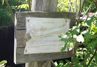 Береговая батарея на острове Осмуссаар