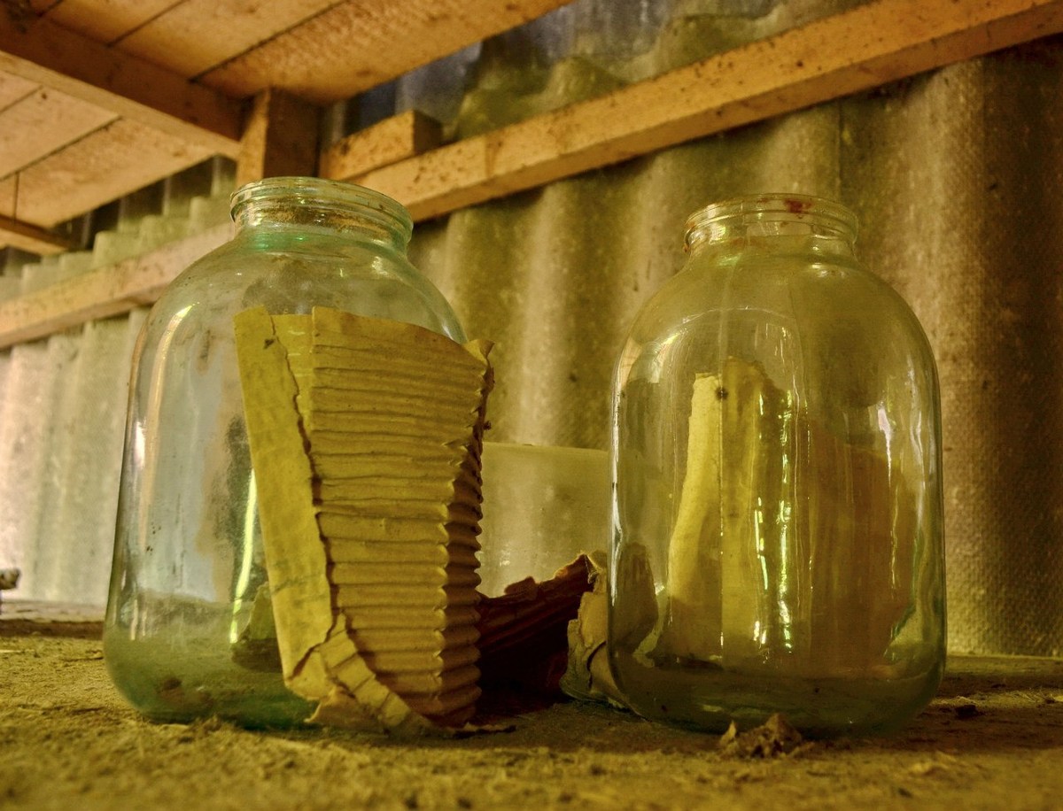  Фотографии от pixelzz. 