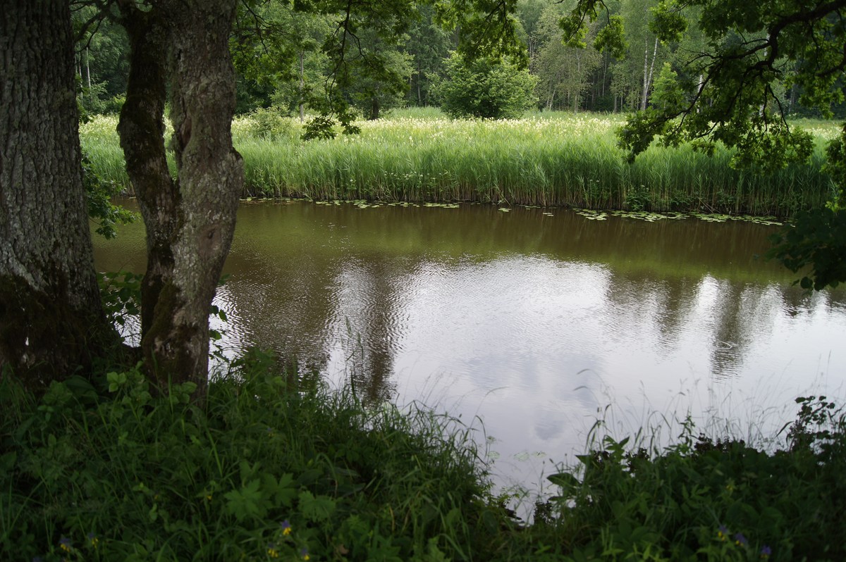 Речка. Meiekose saarte laagriplats.