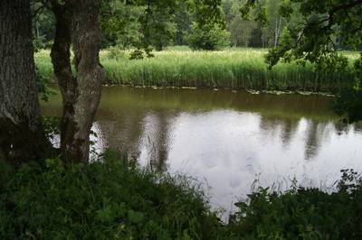 Meiekose saarte laagriplats