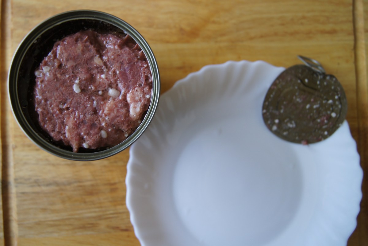  Дегустация тушёнки Registon.