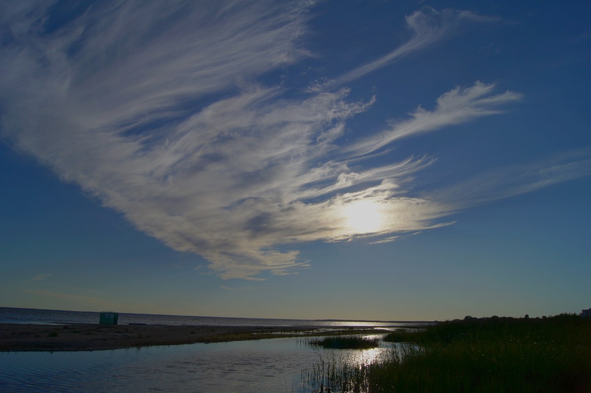  Природа города Пярну.