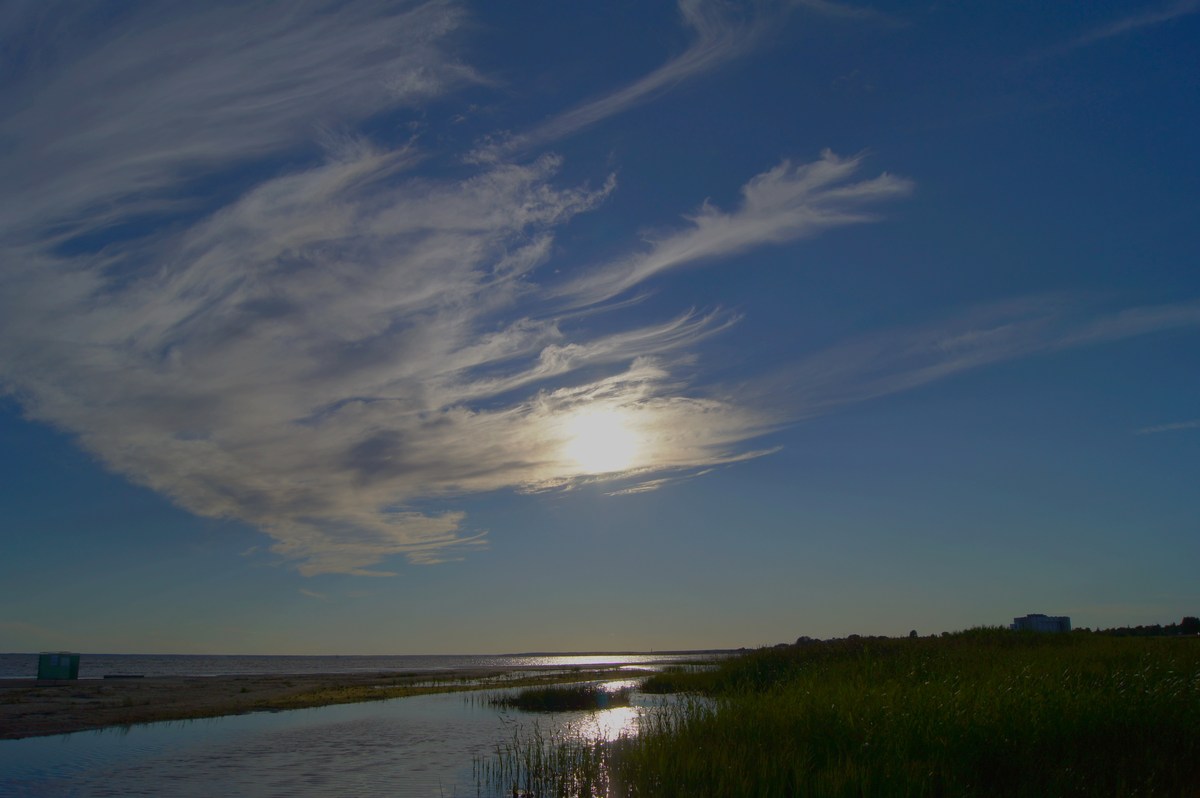  Природа города Пярну.