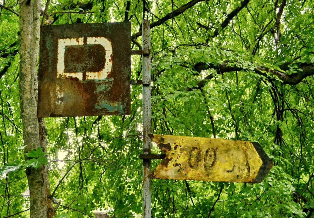  Фотографии от pixelzz. 