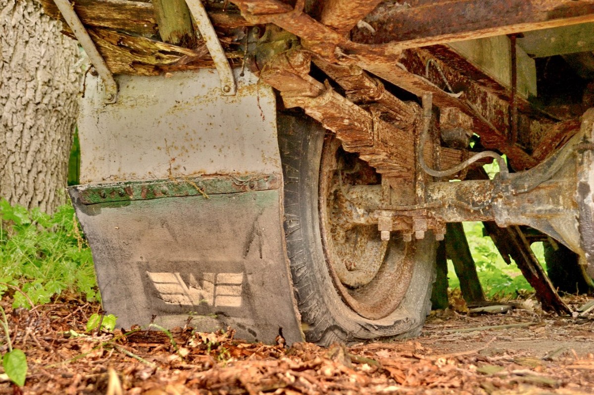  Фотографии от pixelzz. 