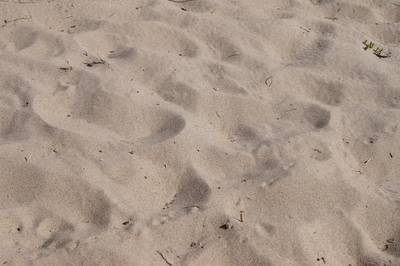 Пляж Матси 2013