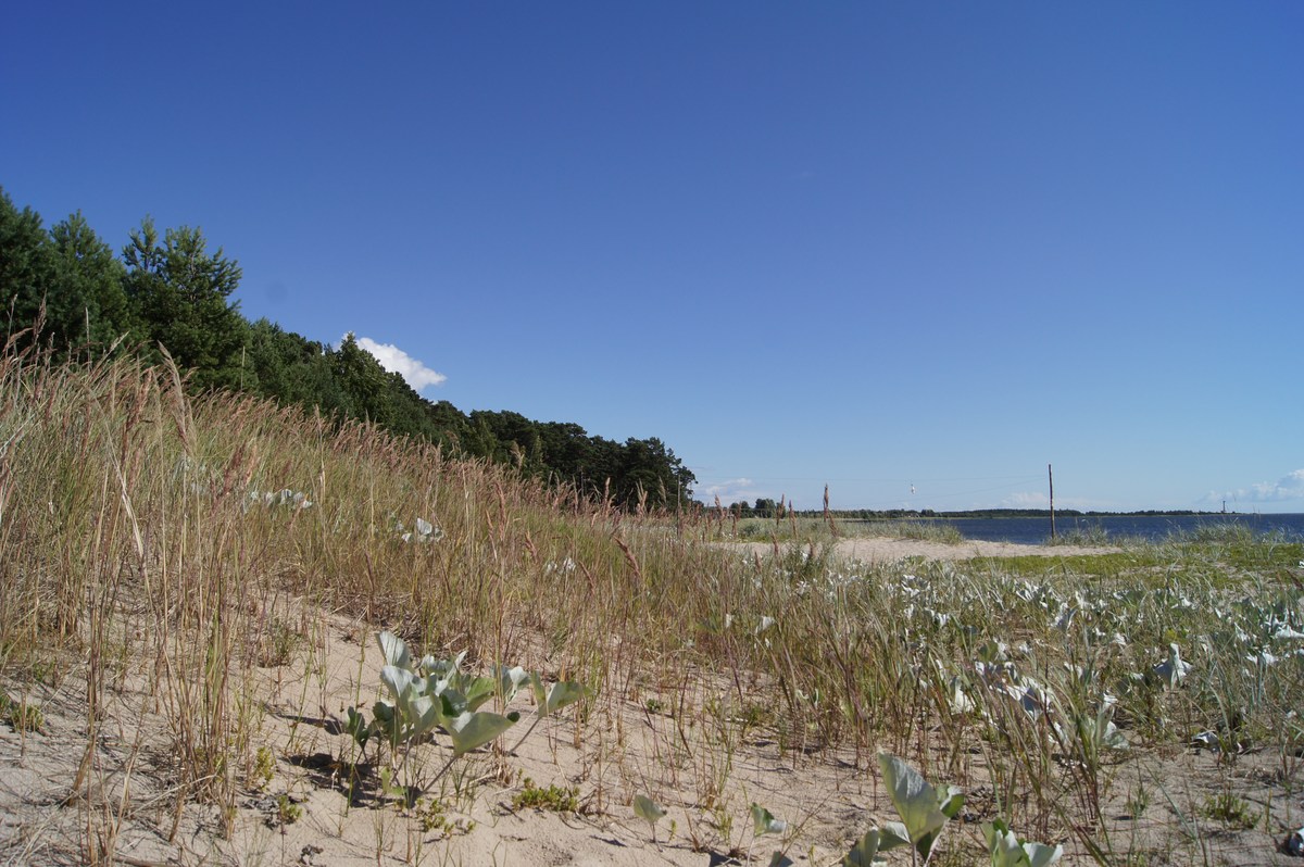  Пляж Матси 2013. 