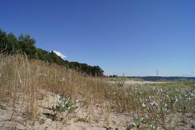 Пляж Матси 2013