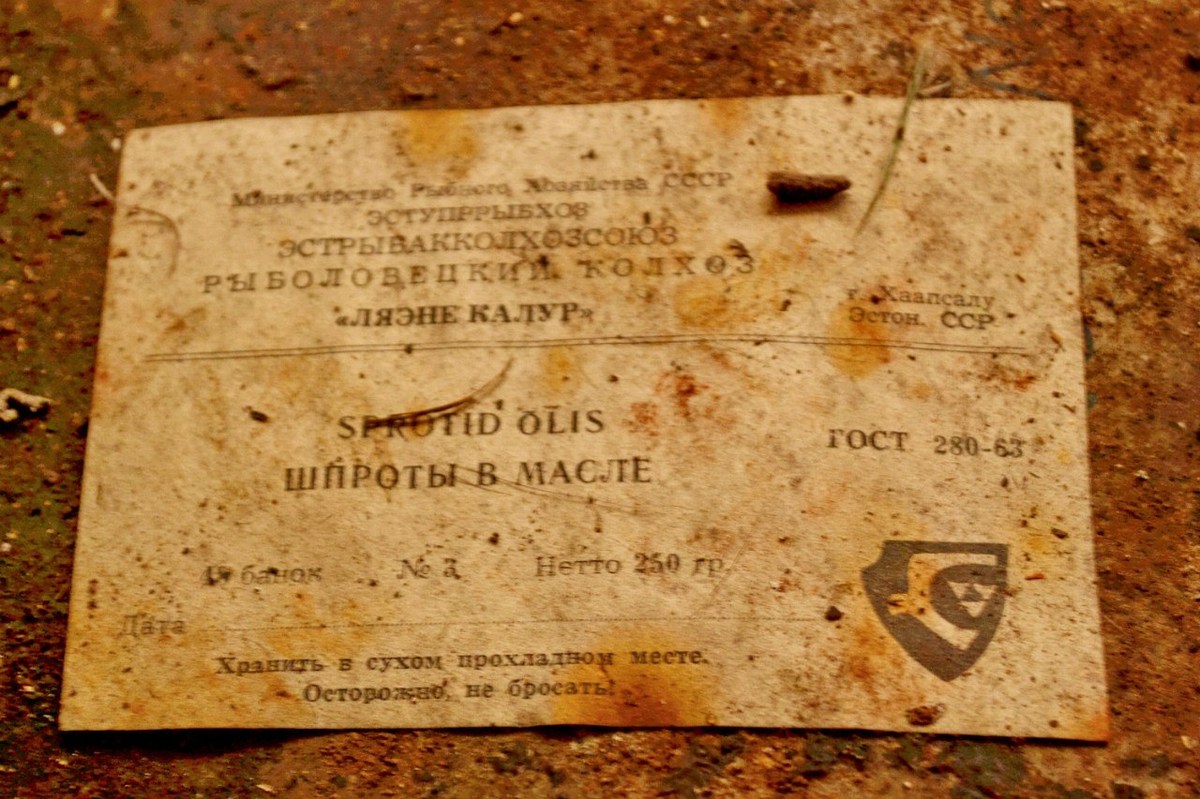  Фотографии от pixelzz. 