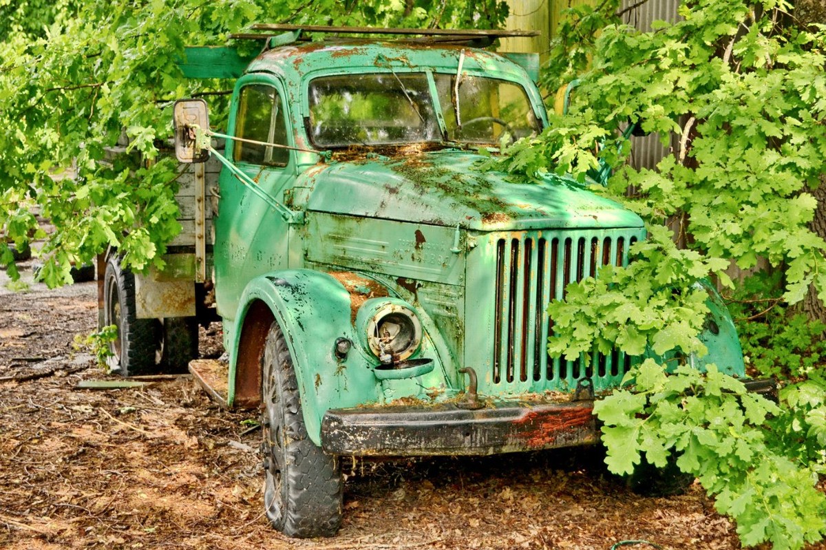  Фотографии от pixelzz. 