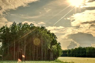 Фотографии от pixelzz