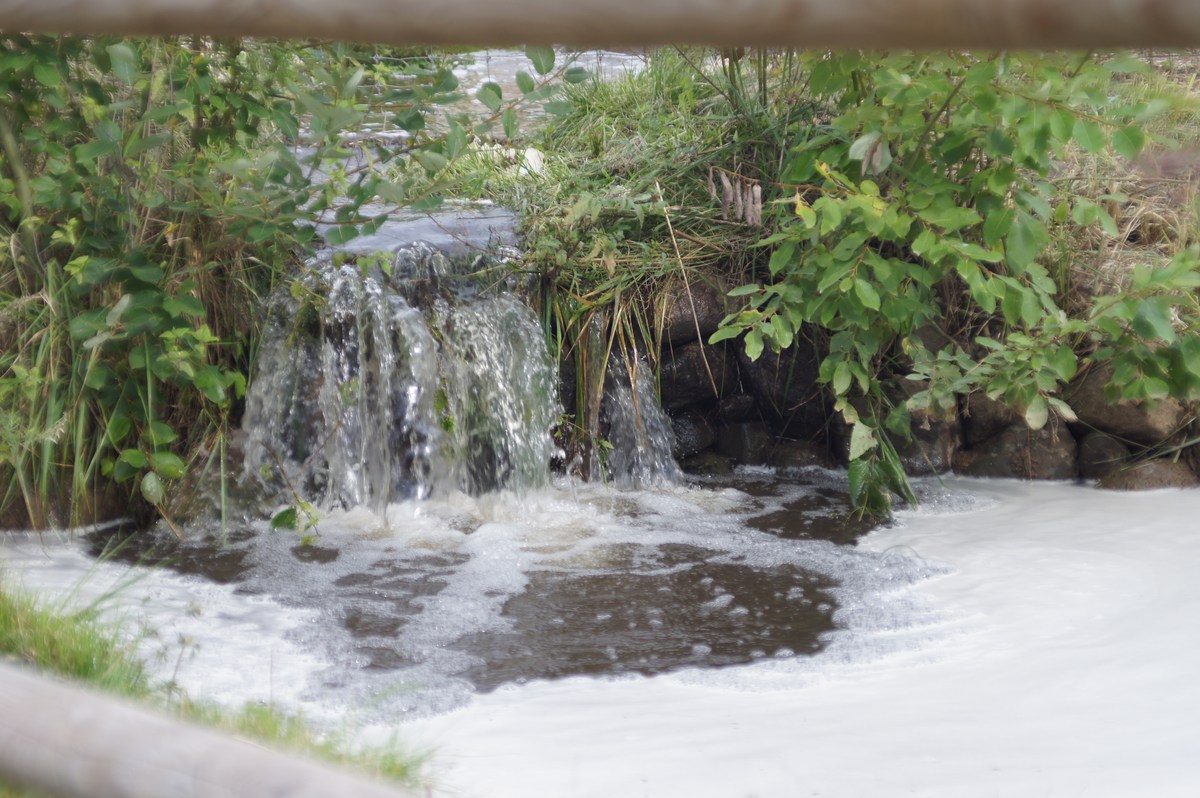  Таллиннский зоопарк. 