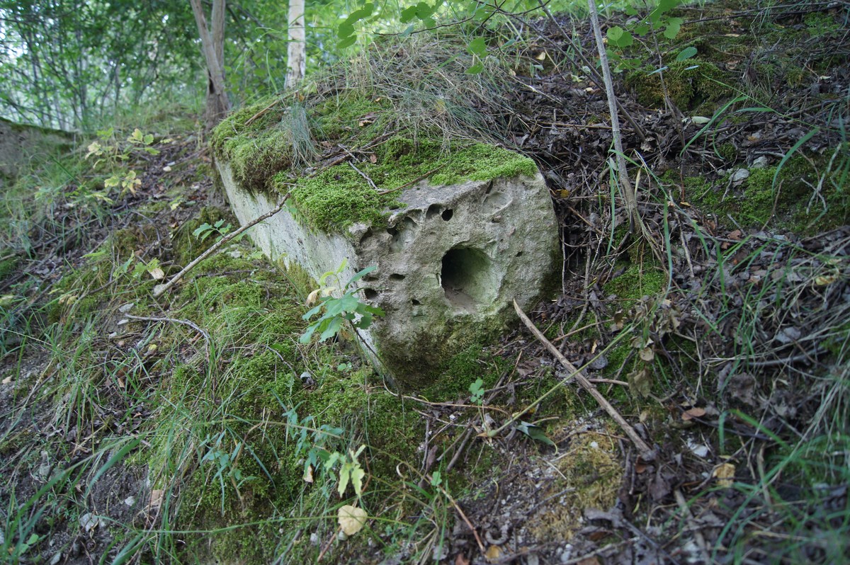  Военная база Астангу 2013. 