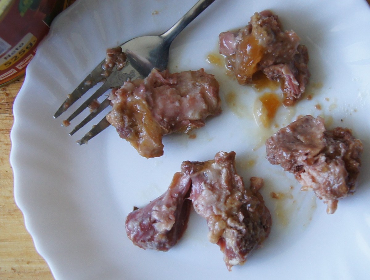  Дегустация тушёнки BRASLA LVA. 