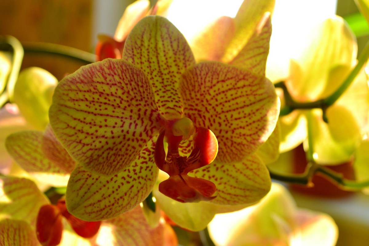  Фотографии от pixelzz. 