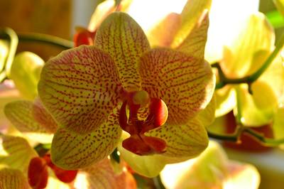 Фотографии от pixelzz