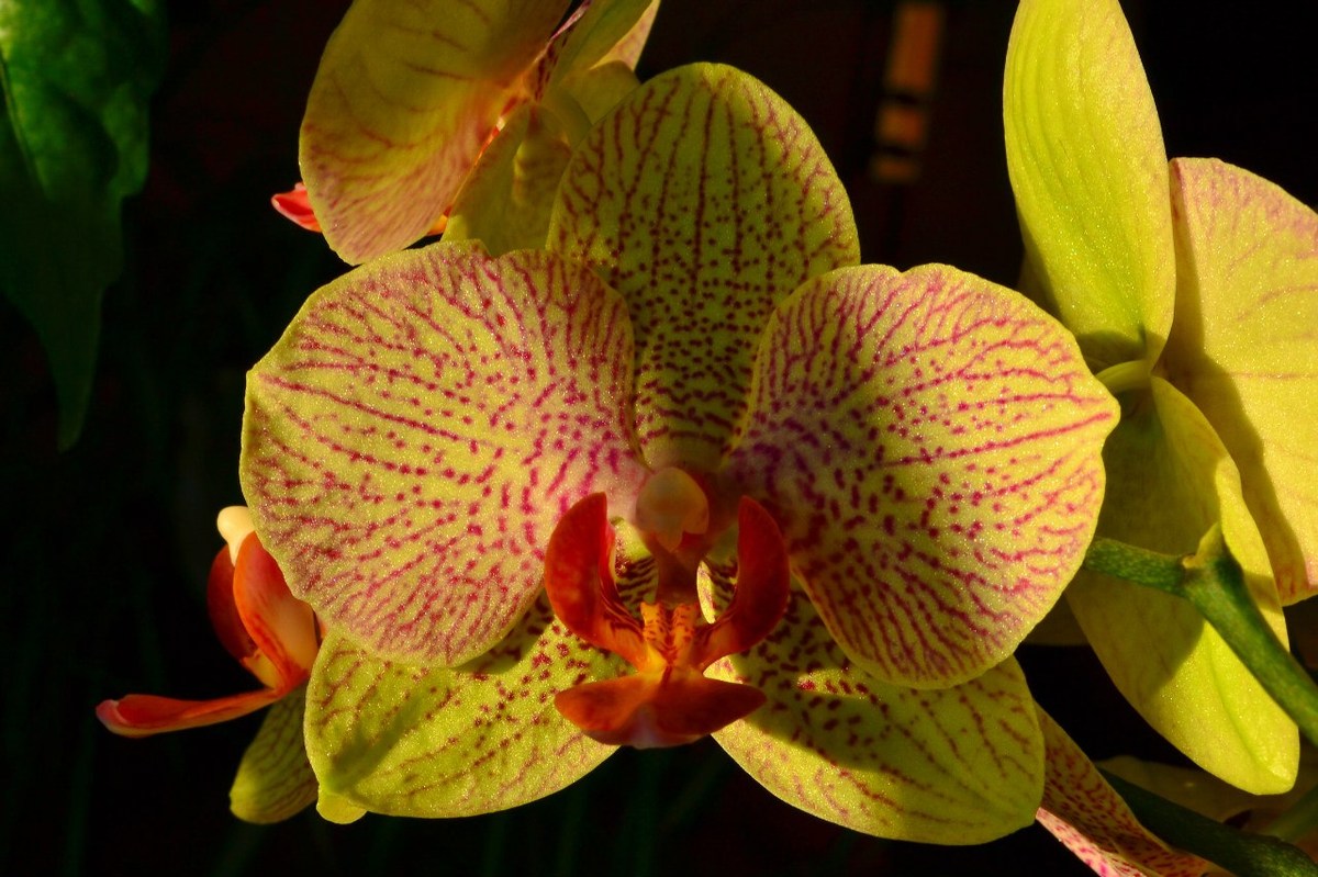  Фотографии от pixelzz. 