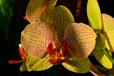 Фотографии от pixelzz