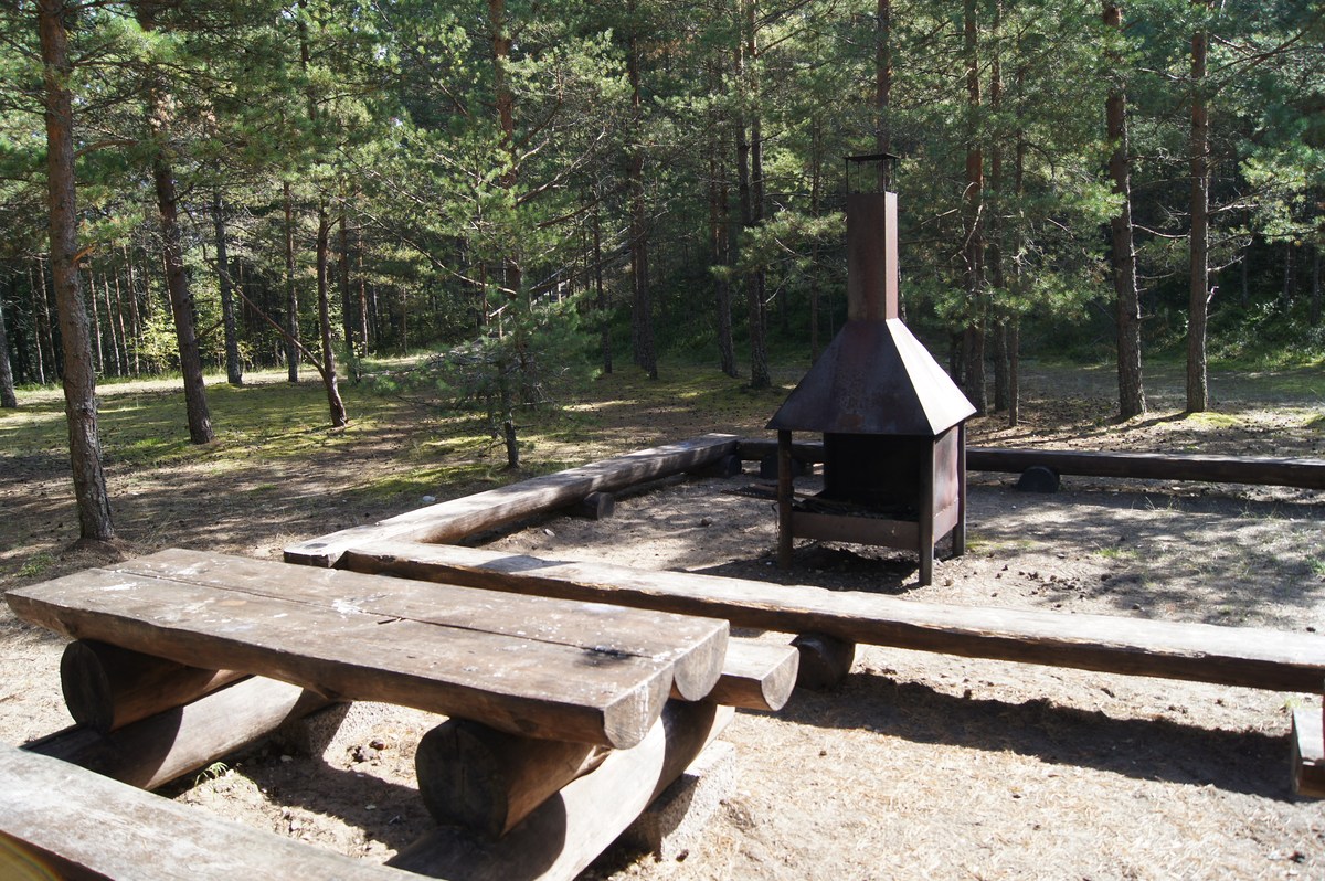  Место для костра Тыотусемяэ. Tõotusemäe lõkkekoht.