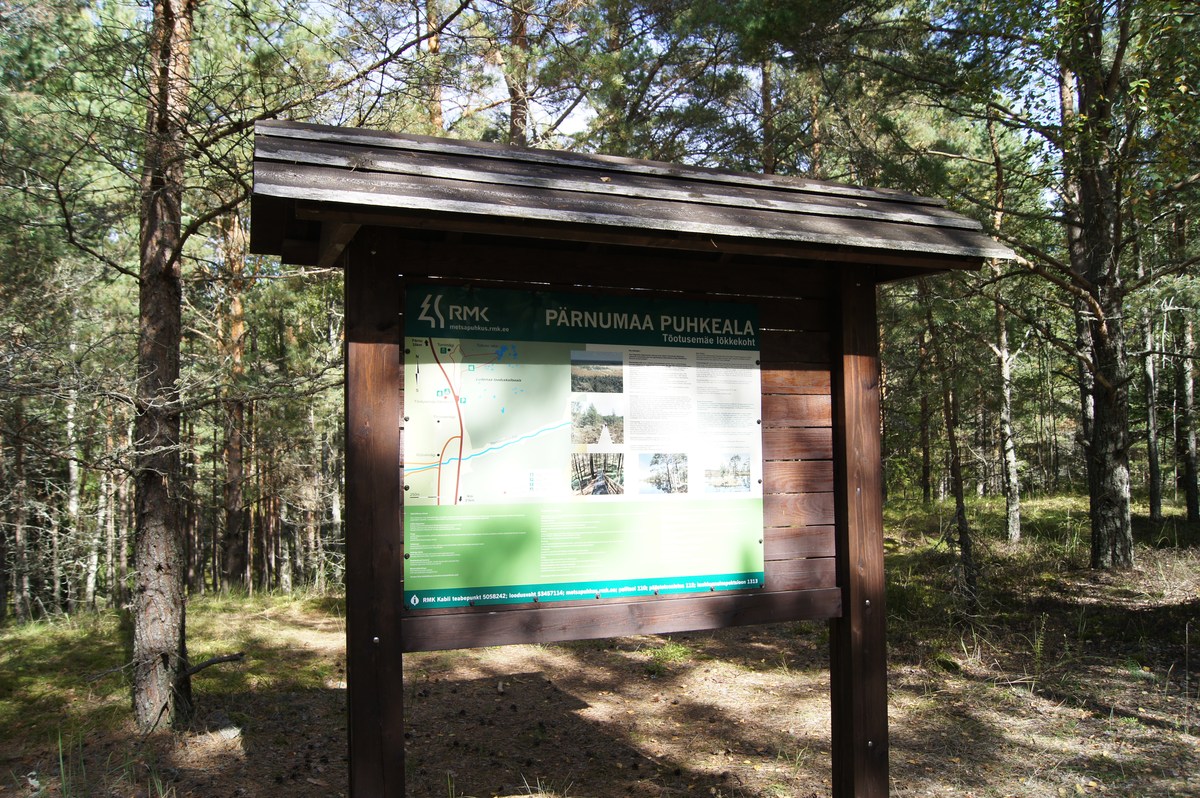  Место для костра Тыотусемяэ. Tõotusemäe lõkkekoht.