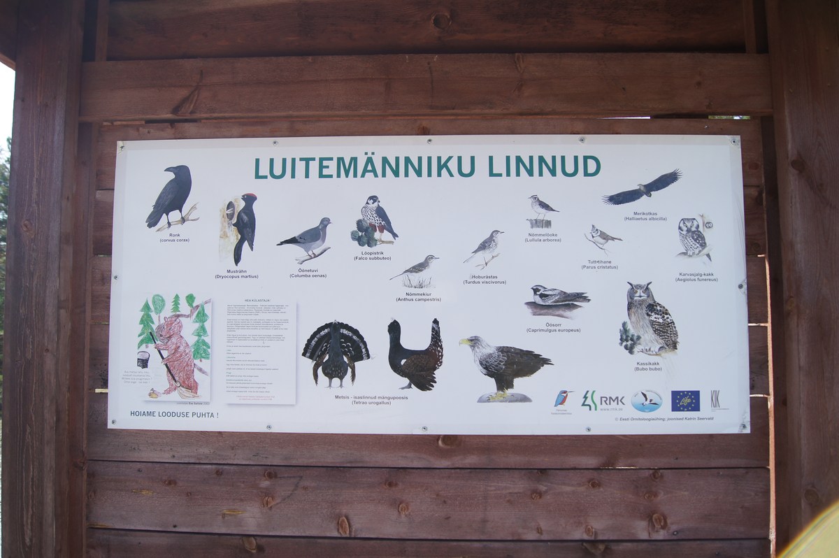 Информационная доска про местную природу. Смотровая вышка Толкузе. Tolkuse vaatetorn.