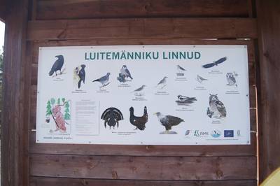 Смотровая вышка Толкузе. Tolkuse vaatetorn. Смотровая вышка Толкузе. Tolkuse vaatetorn.