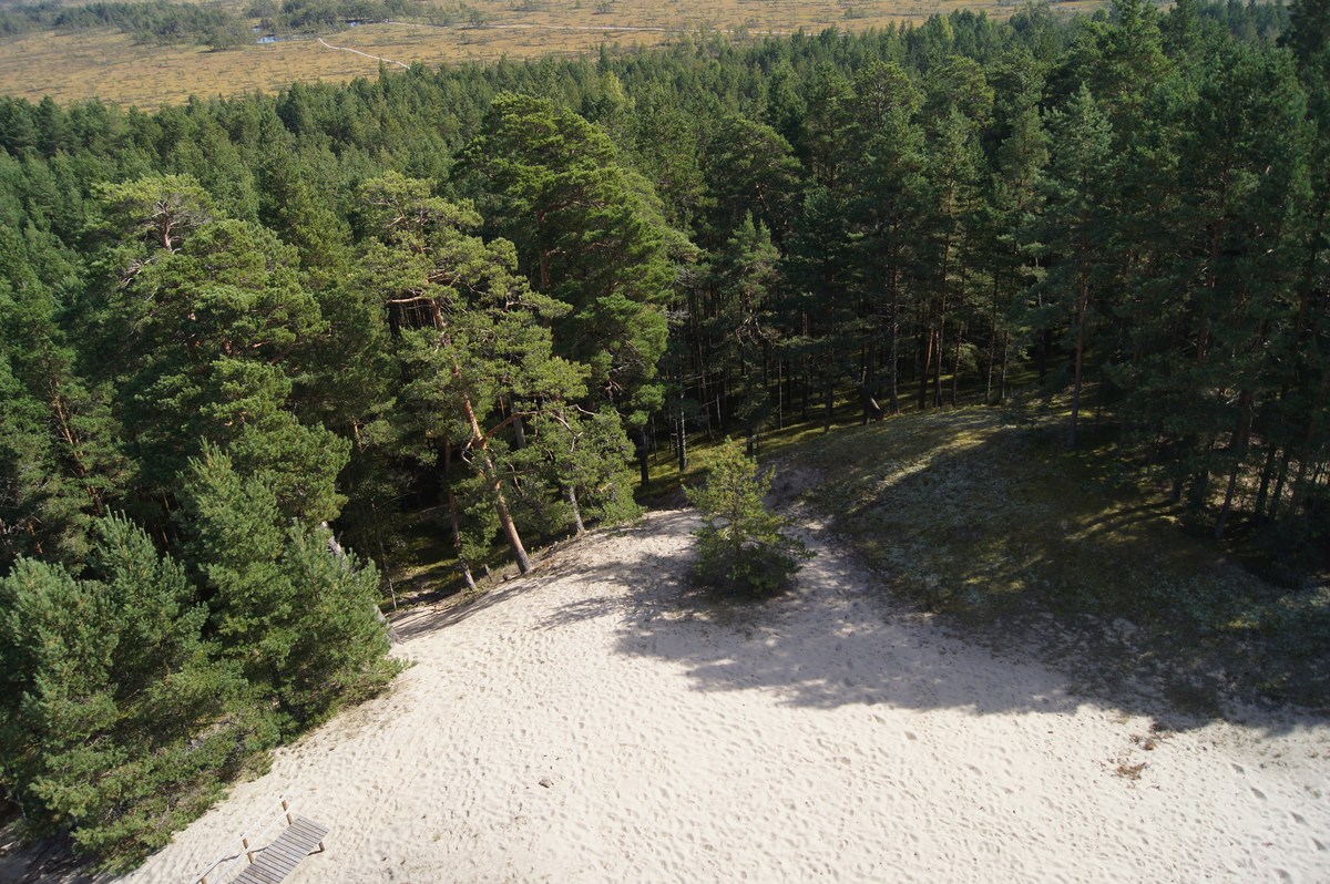  Смотровая вышка Толкузе. Tolkuse vaatetorn.