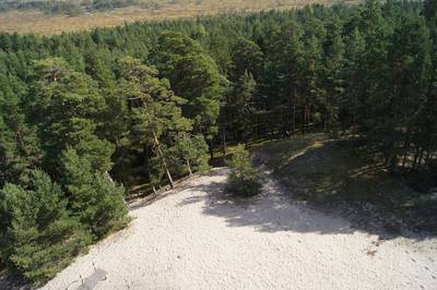 Смотровая вышка Толкузе. Tolkuse vaatetorn.