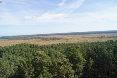 Смотровая вышка Толкузе. Tolkuse vaatetorn. Смотровая вышка Толкузе. Tolkuse vaatetorn.