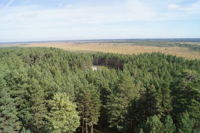 Смотровая вышка Толкузе. Tolkuse vaatetorn. Смотровая вышка Толкузе. Tolkuse vaatetorn.