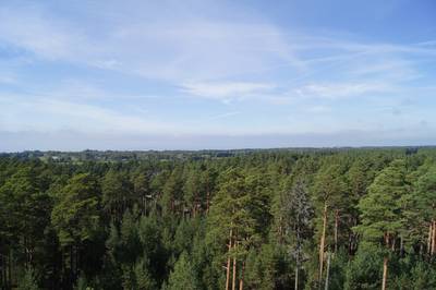 Смотровая вышка Толкузе. Tolkuse vaatetorn. Смотровая вышка Толкузе. Tolkuse vaatetorn.