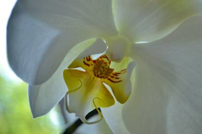 Фотографии от pixelzz