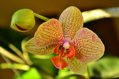 Фотографии от pixelzz