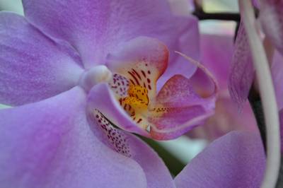 Фотографии от pixelzz