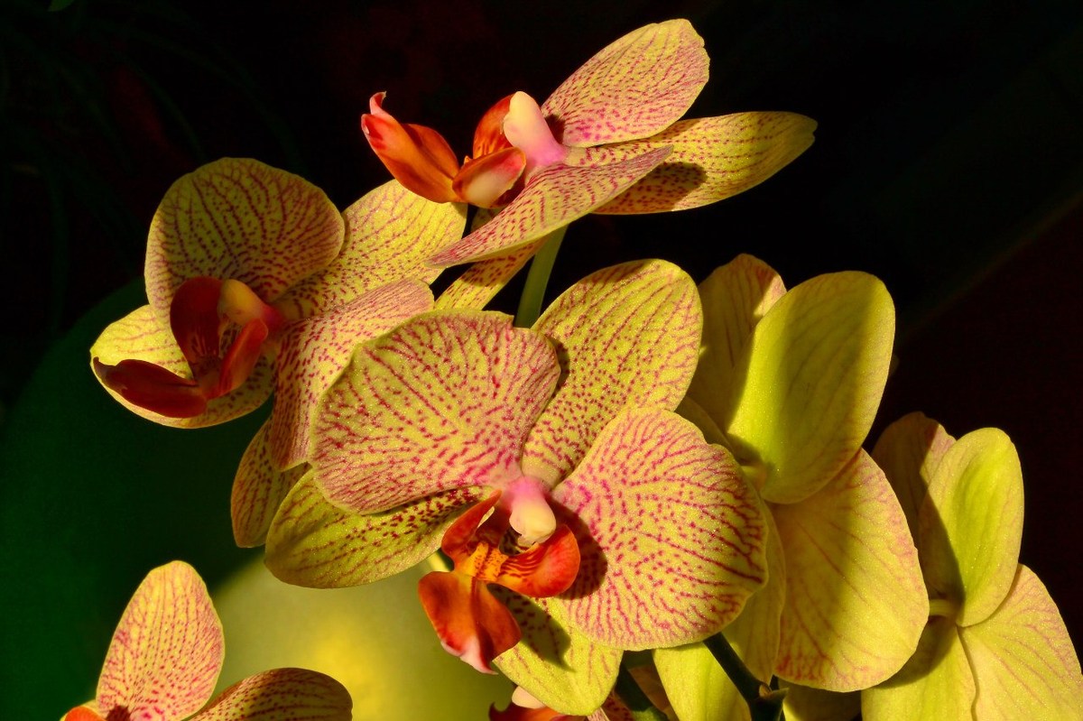  Фотографии от pixelzz. 