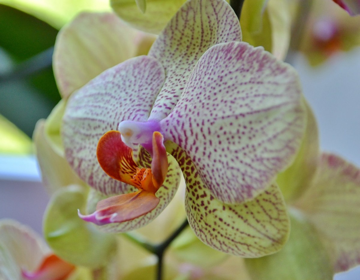  Фотографии от pixelzz. 