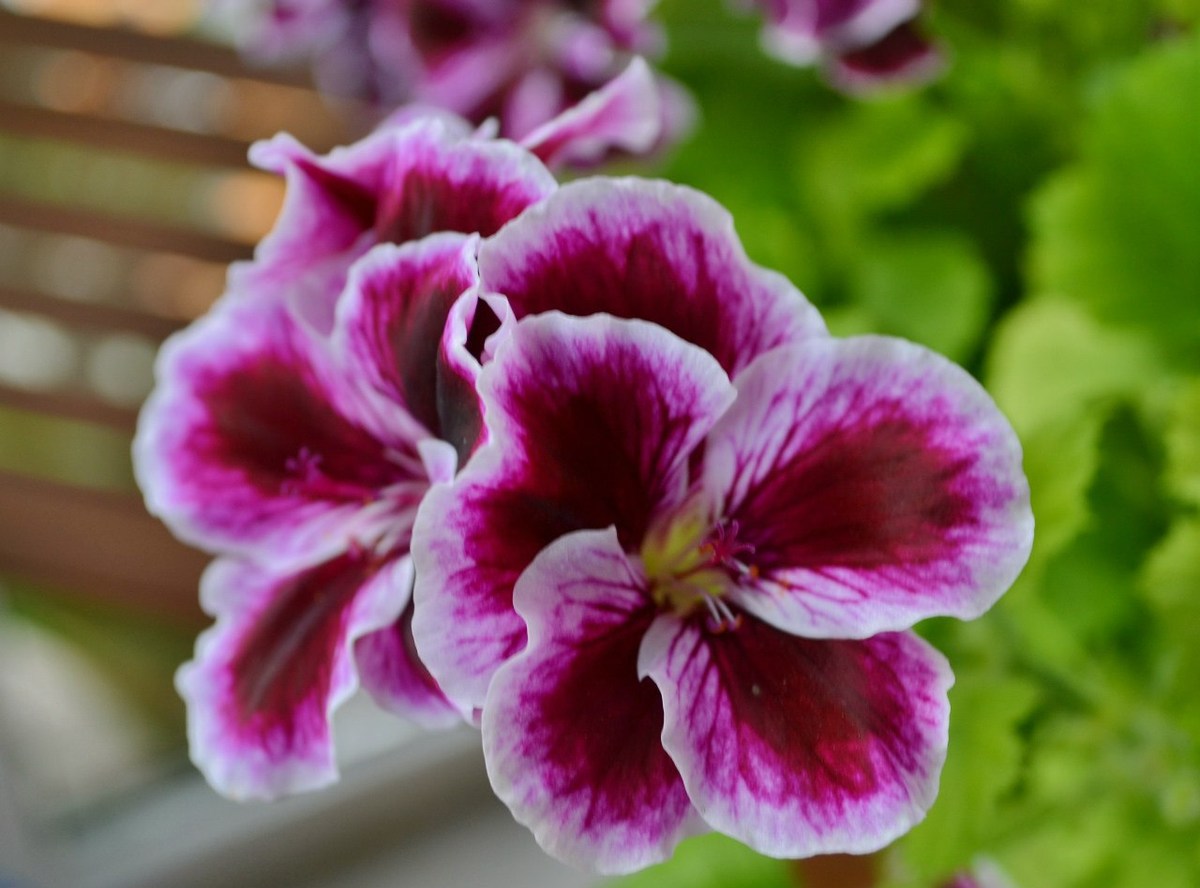  Фотографии от pixelzz. 