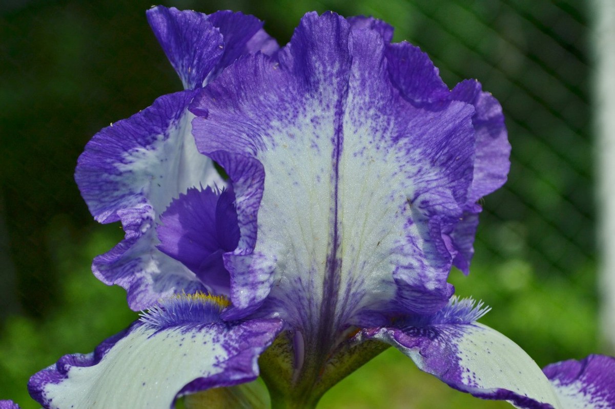  Фотографии от pixelzz. 